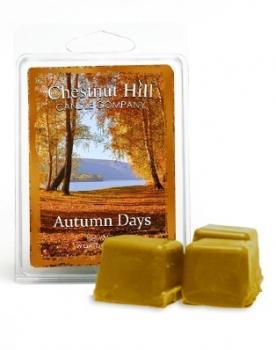 CHESTNUT HILL Candles Soja Duftwachs 85 g AUTUMN DAYS